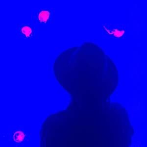 Meet your Posher, Debra